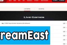 Who Owns Streameast